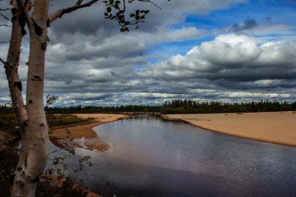 Тюменская область пейзаж