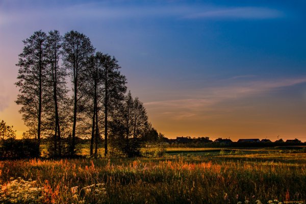 Природа Тюменской области