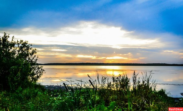 Природа Нижнетавдинского района Тюменской области