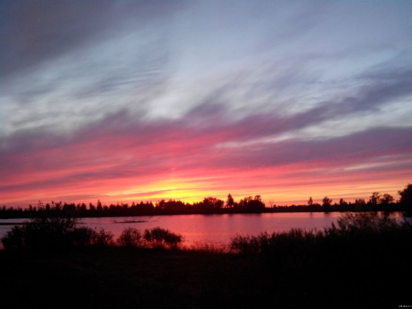 Синицинский Бор Ишим