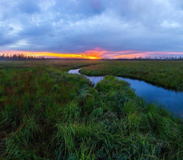 Река Иртыш Павлодар