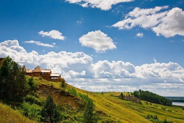 Сибирская Тайга ХМАО сверху