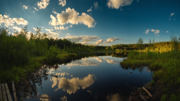 Равнины Тюменской области