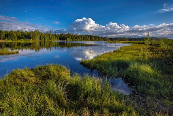 Река Киренга