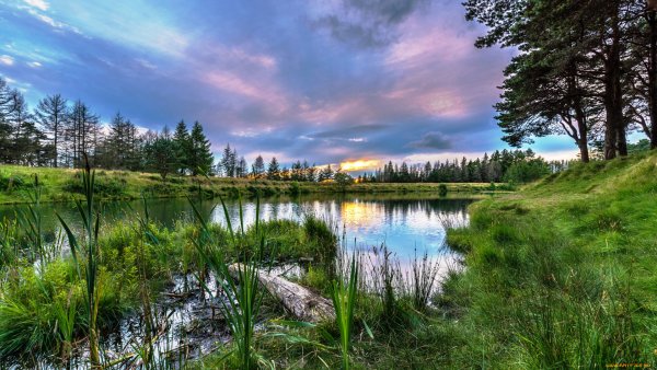 Юганский заповедник ХМАО