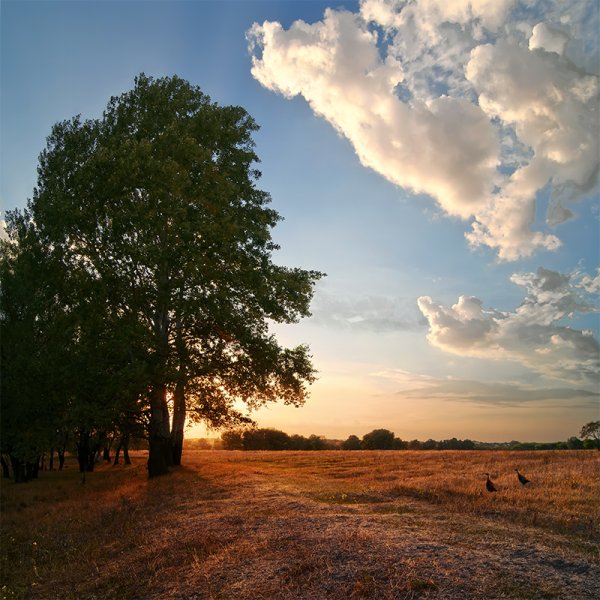 Пейзаж без обработки