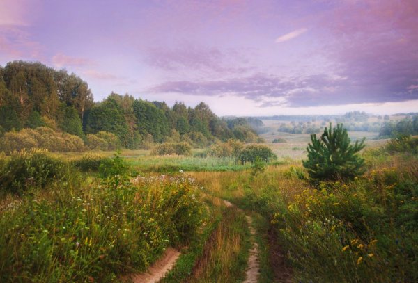 Фотографический пейзаж