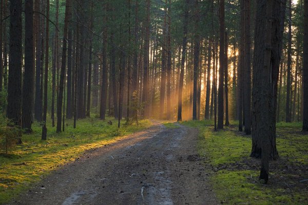 Пейзаж необработанный