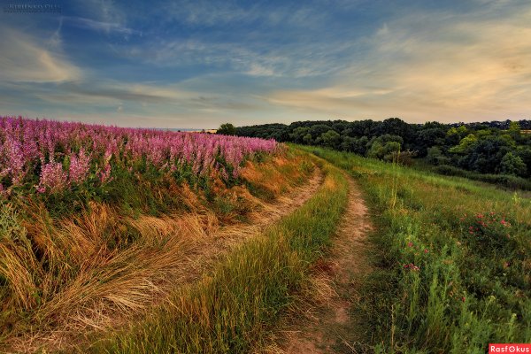 Пейзаж без обработки