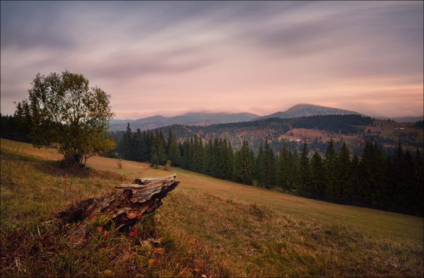 Пейзаж необработанный