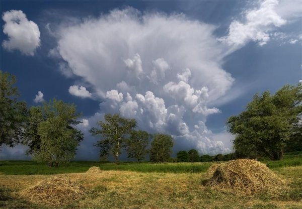 Природа обычная