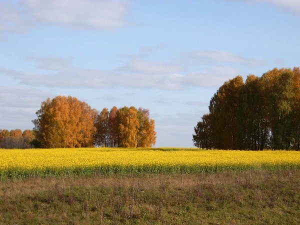 Просторы Удмуртии