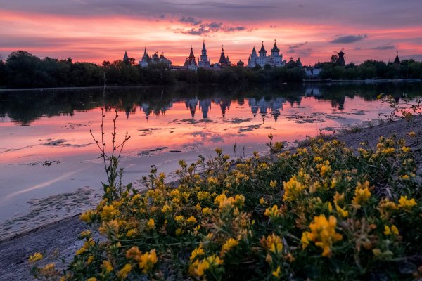 Пейзаж обычный