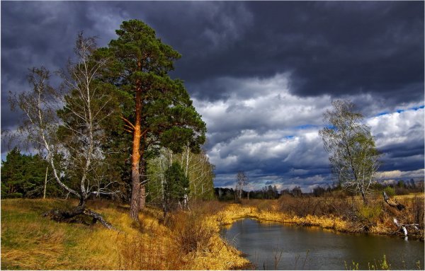 Лето в средней полосе России