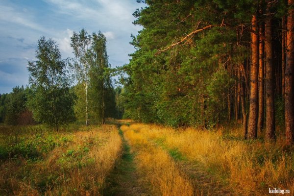 Природа светлая