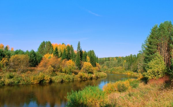 Волго Вятский район природа