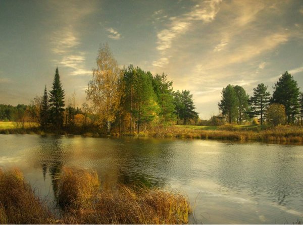 Река Немда Кировская область