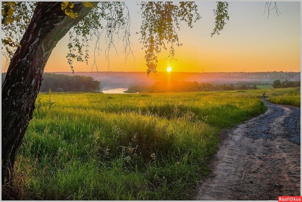 Волго Вятский район природа