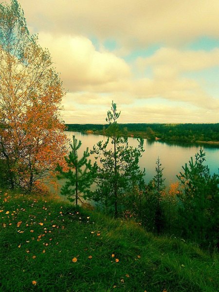 Река Немда Марий Эл