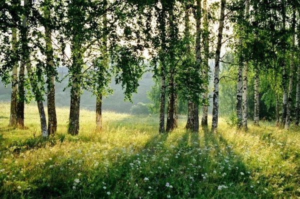 Природа Вятского края