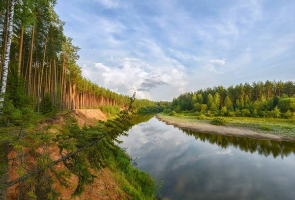 Природа Вятки Кировской области лето