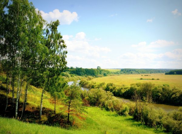 Немда (приток пижмы)