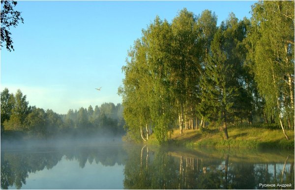 Природа Вятки Кировской области