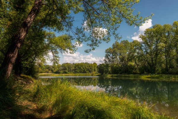 Конец августа природа