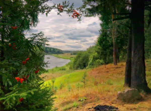 Августовский пейзаж