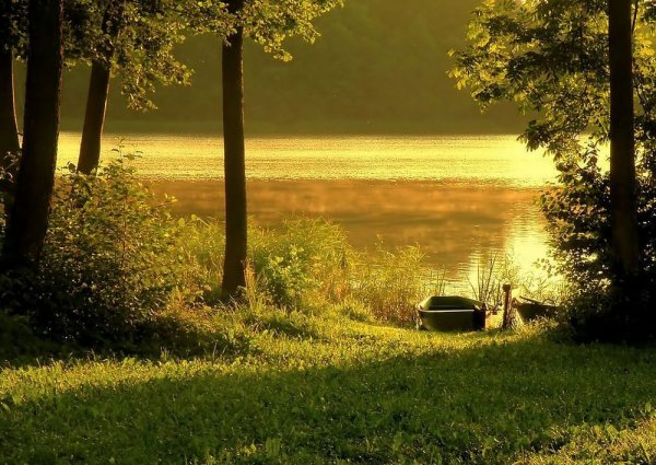 Август пейзаж