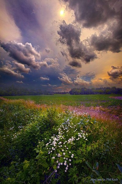 Августовский закат