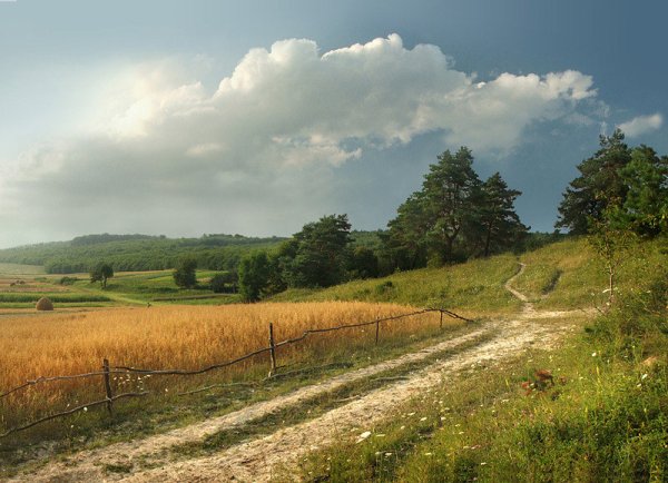 Красивые пейзажи августа