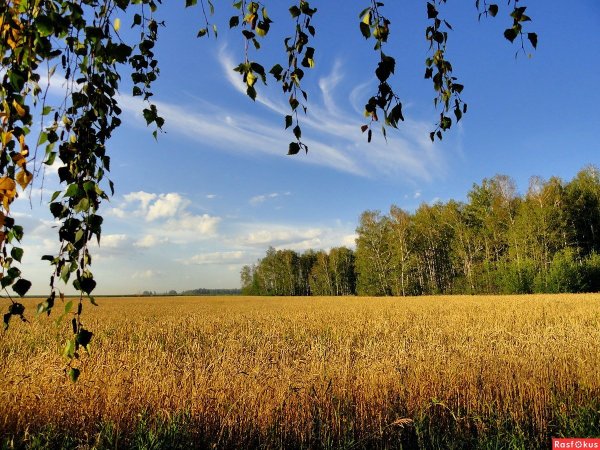 Природа изменчива