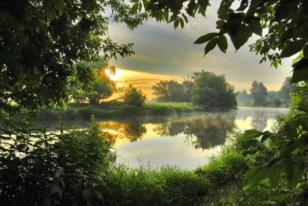 Природа лето озеро