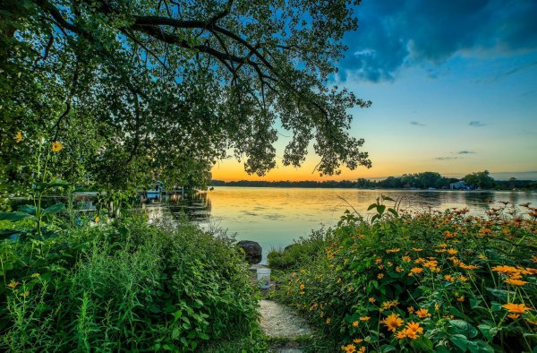 Августовский пейзаж