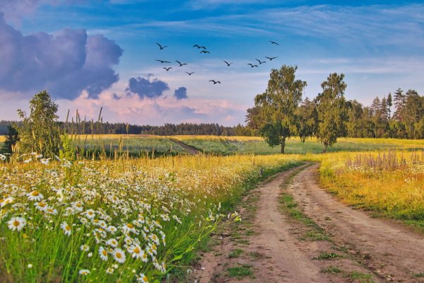 Августовский пейзаж