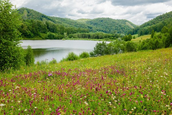 Башкирия природа Луга