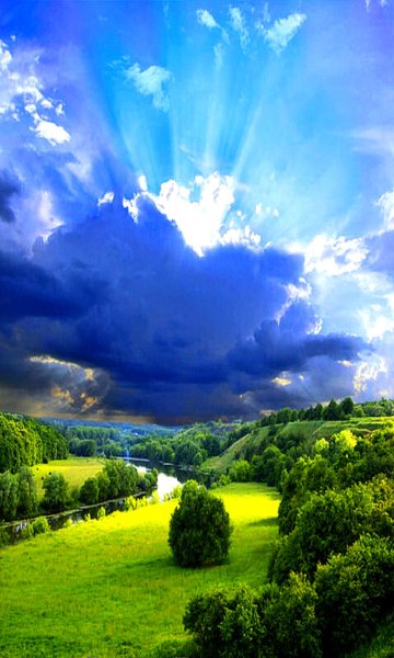 Тайга Северной Америки