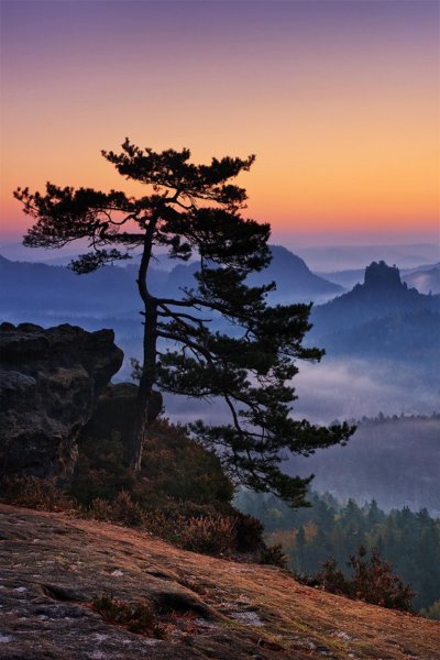 Пейзажи природы