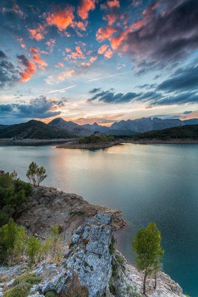 Природа вертикальные