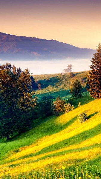 Озеро Морейн алмазная мозаика