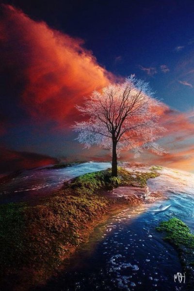 Красивые пейзажи вертикальные