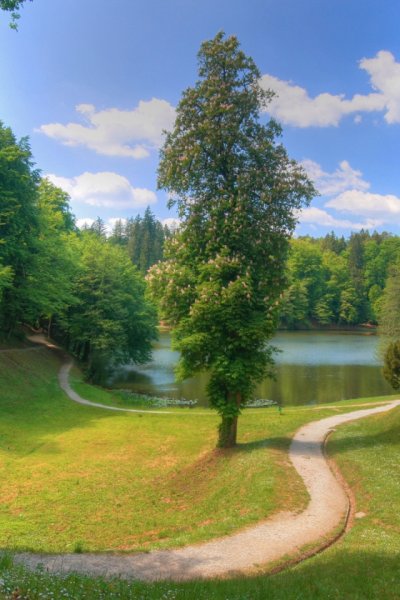 Сказочная тропинка