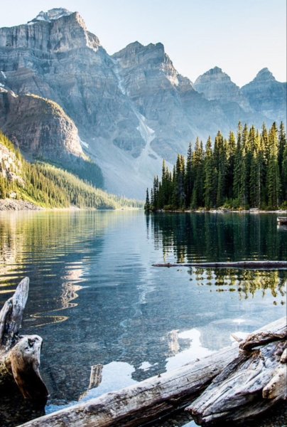 Природа вертикальные