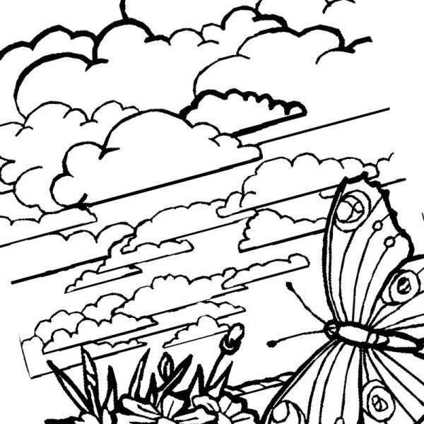 Летний пейзаж раскраска