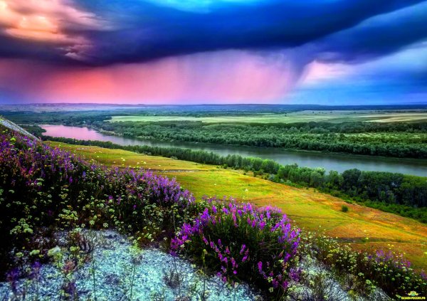 Природный парк Донской Волгоградская