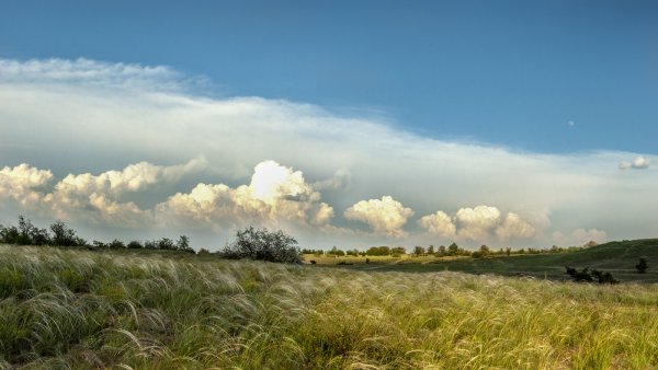 Природа Волгоградской области степь