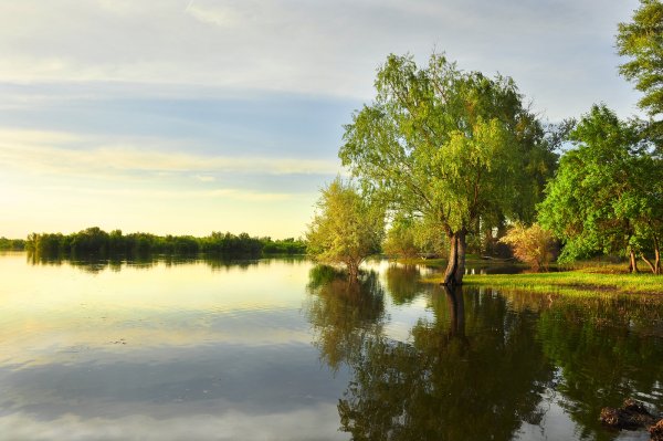 Волгоград природа степь