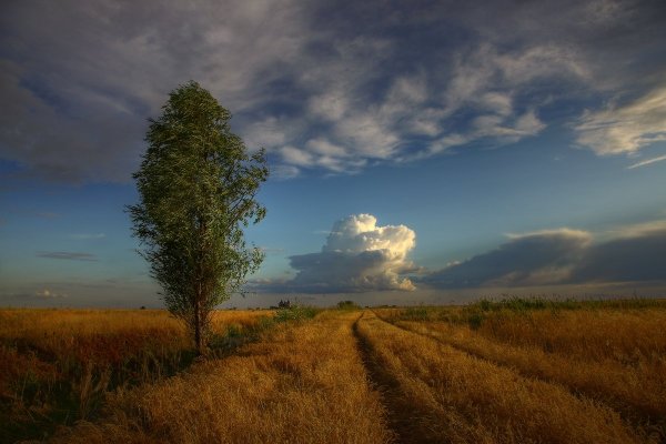 Река Волга в Волгоградской области