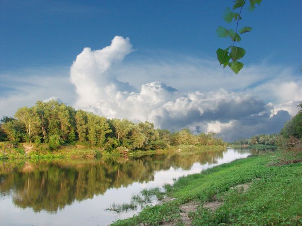 Природа Волжского Волгоградской области